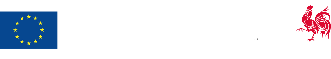 logo_eu_wallonie